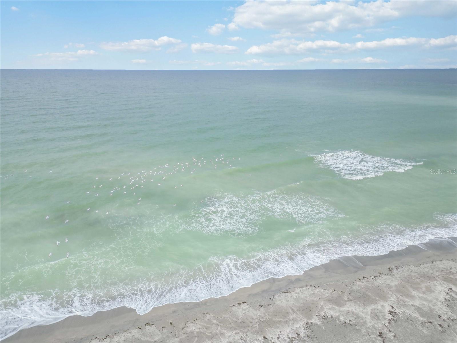 Image 50 of 69 For 1400 Tarpon Center Drive 204