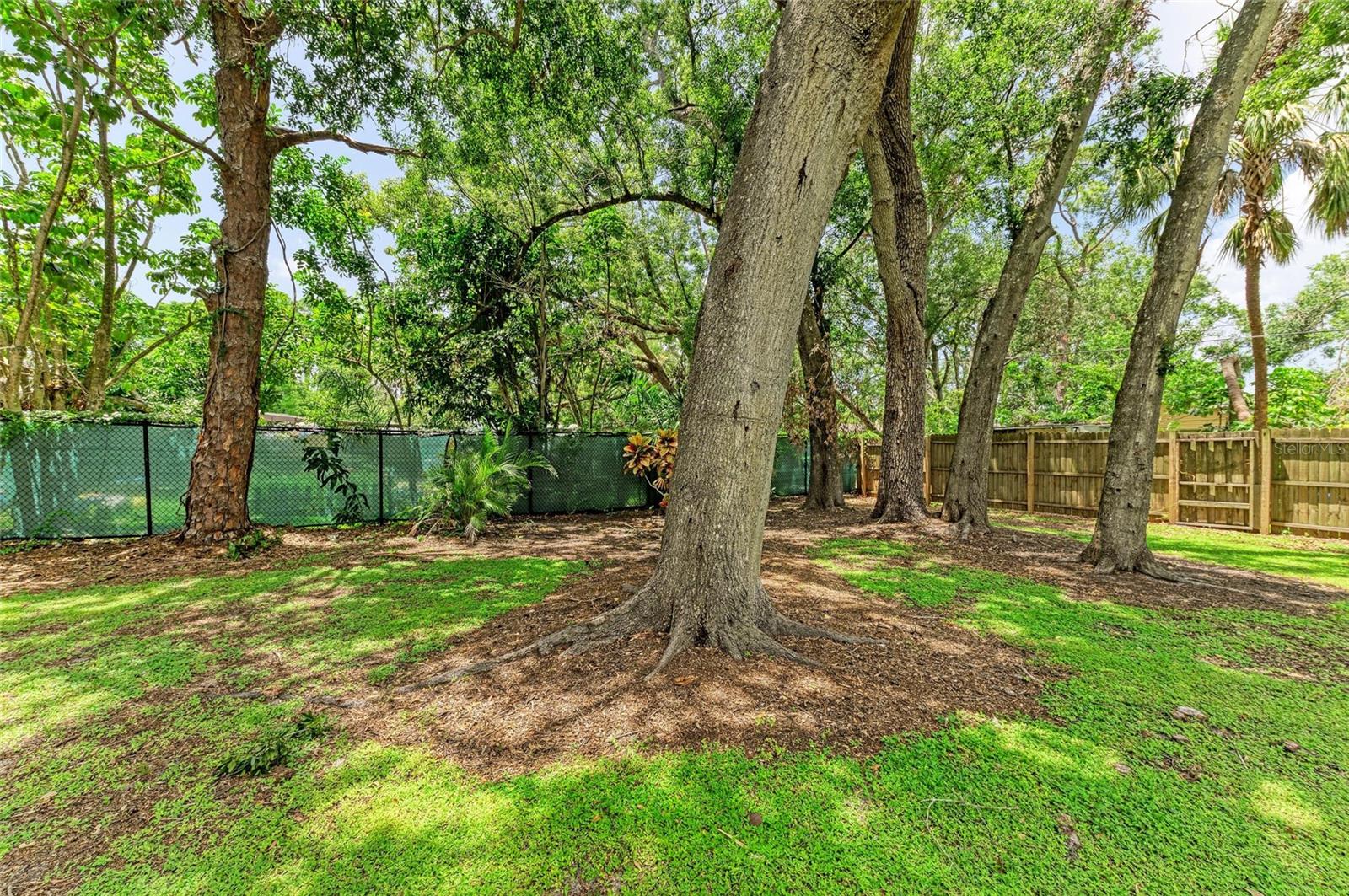 Image 40 of 47 For 2418 12th Avenue W