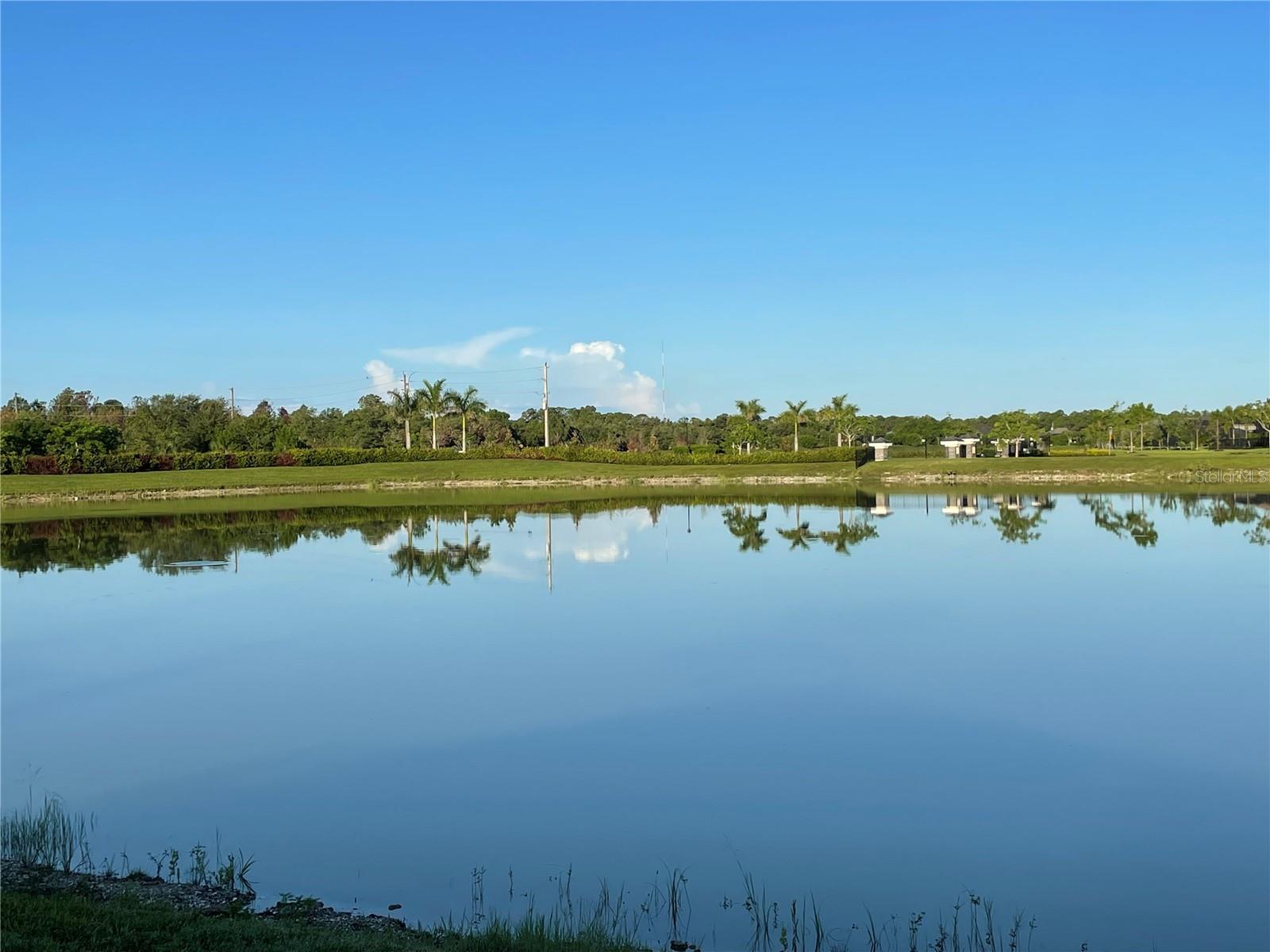 Image 55 of 80 For 14573 Ponce De Leon Trail