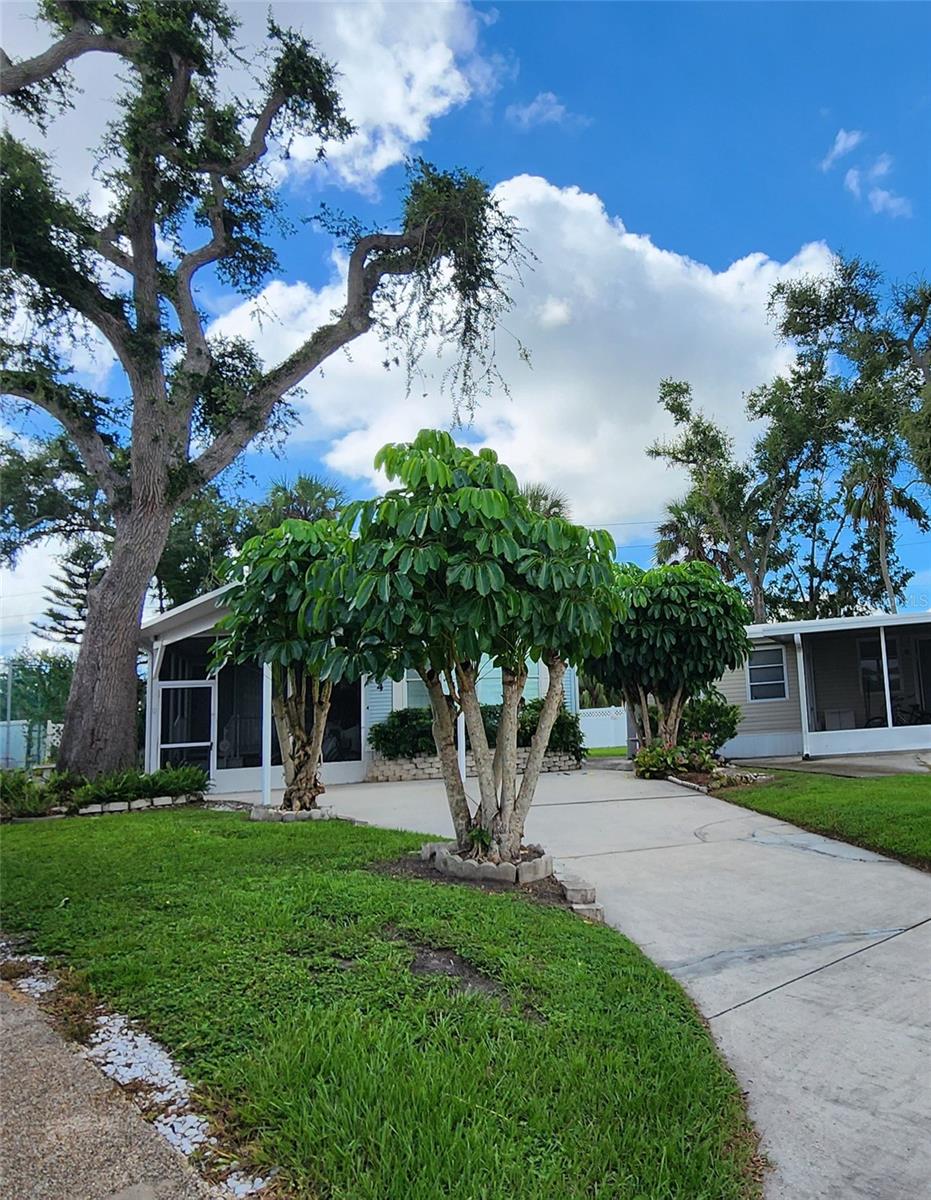 Image 32 of 45 For 3333 26th Avenue E 4