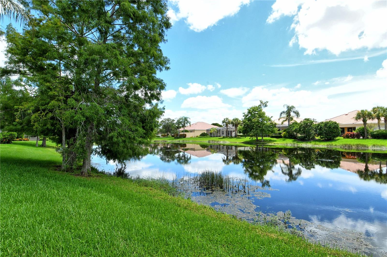 Image 50 of 70 For 5562 Octonia Place