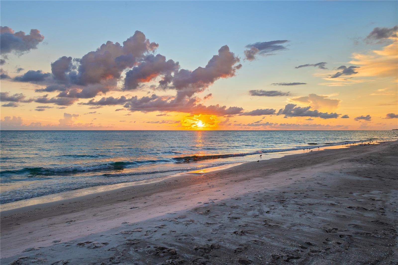 Image 30 of 44 For 4621 Gulf Of Mexico Drive 14f