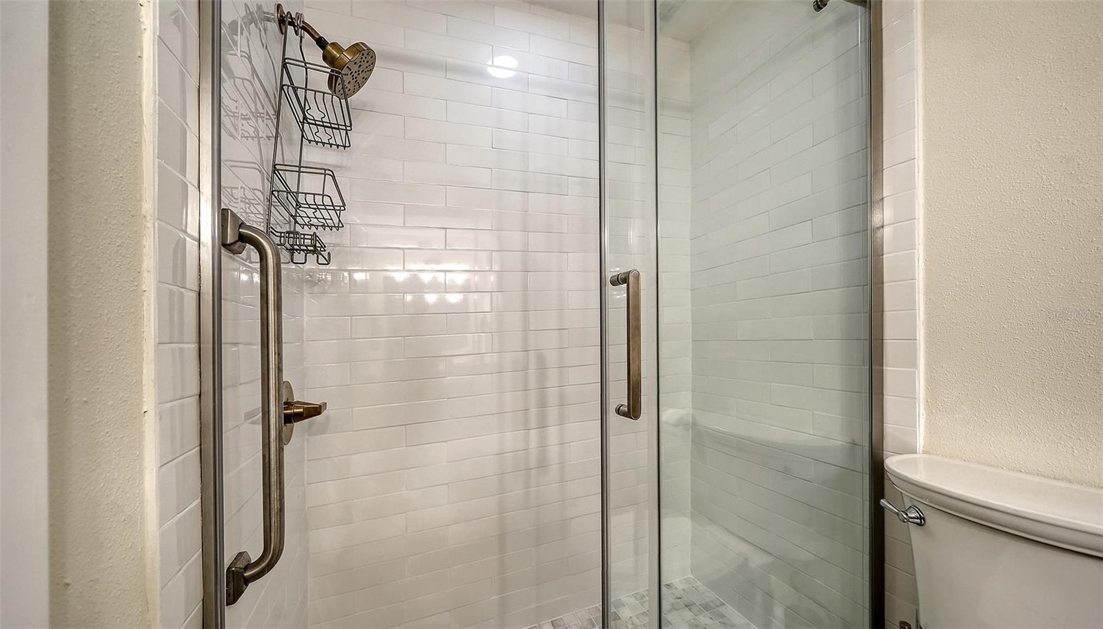 Image 39 of 73 For 204 Hourglass Way V9