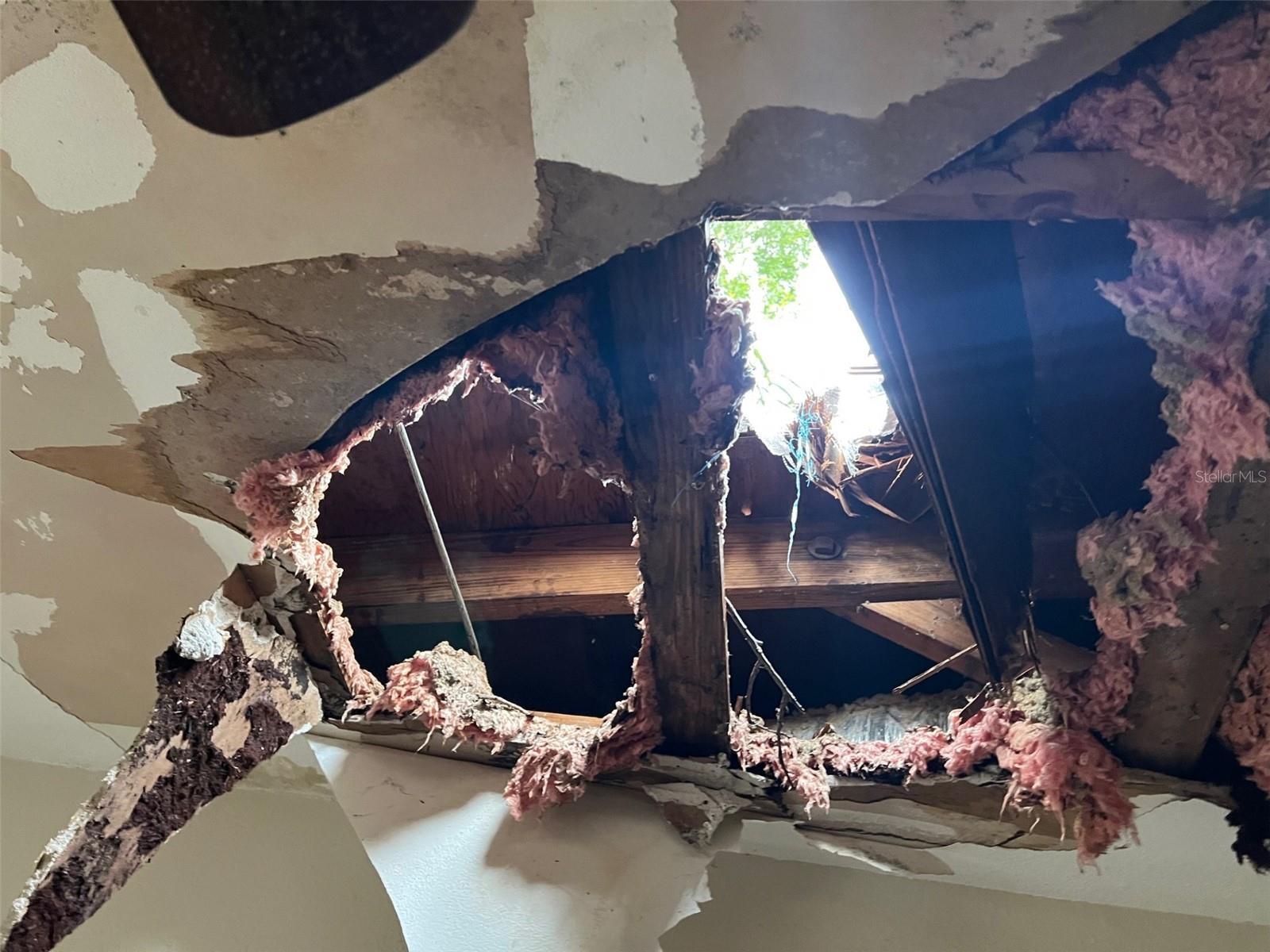 Listing photo id 11 for 4421 Leila Avenue