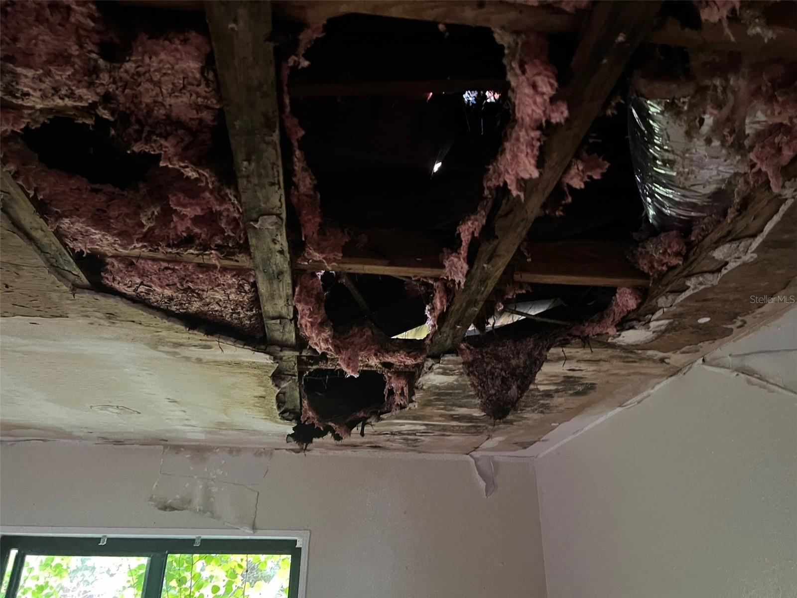 Listing photo id 12 for 4421 Leila Avenue