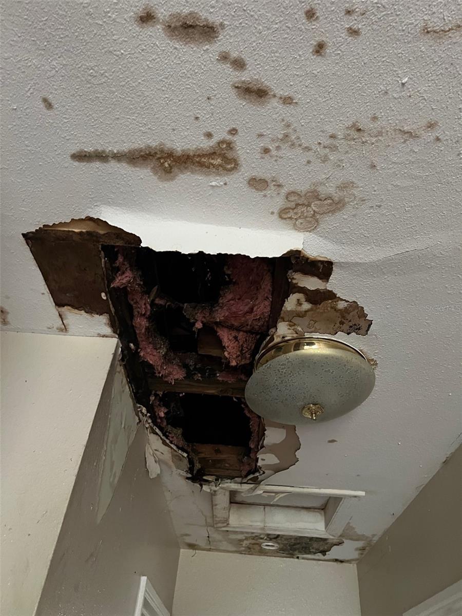 Listing photo id 18 for 4421 Leila Avenue