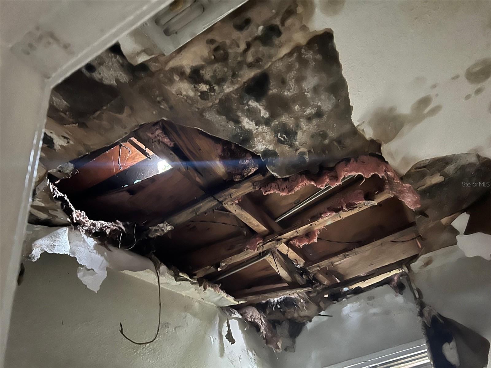 Listing photo id 19 for 4421 Leila Avenue