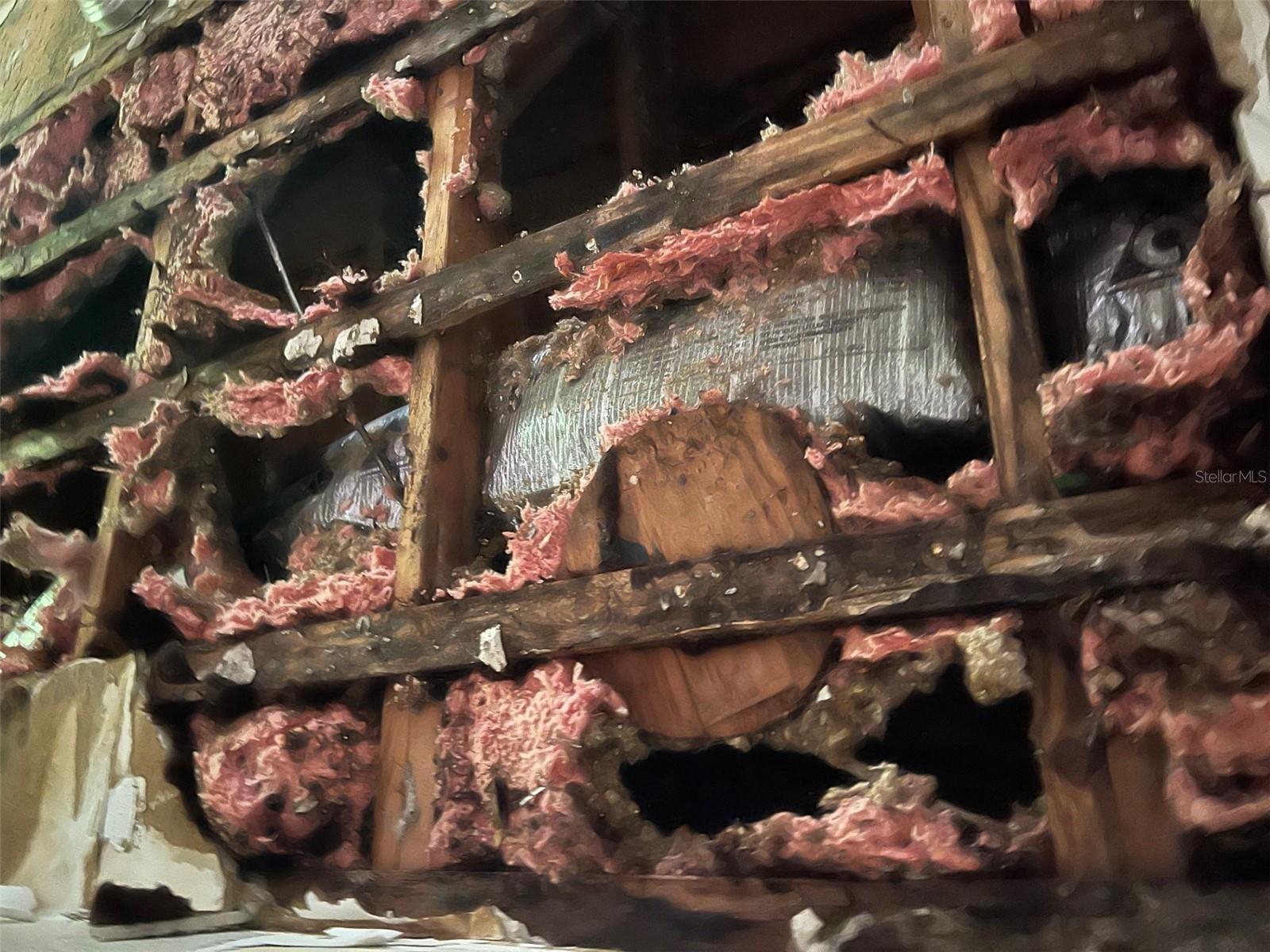 Listing photo id 20 for 4421 Leila Avenue