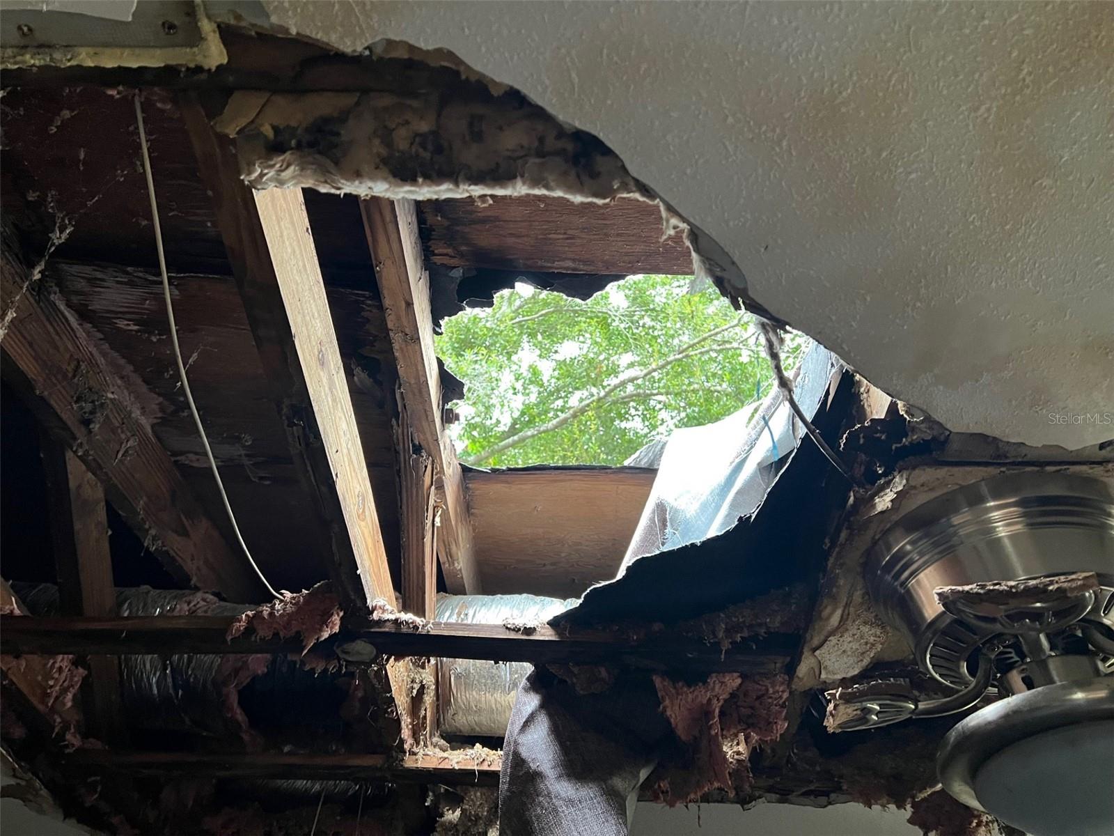 Listing photo id 4 for 4421 Leila Avenue