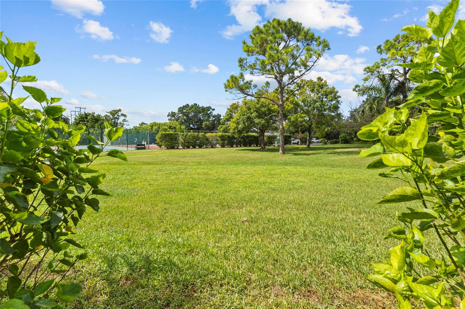 Image 41 of 43 For 411 Palm Tree Drive 411