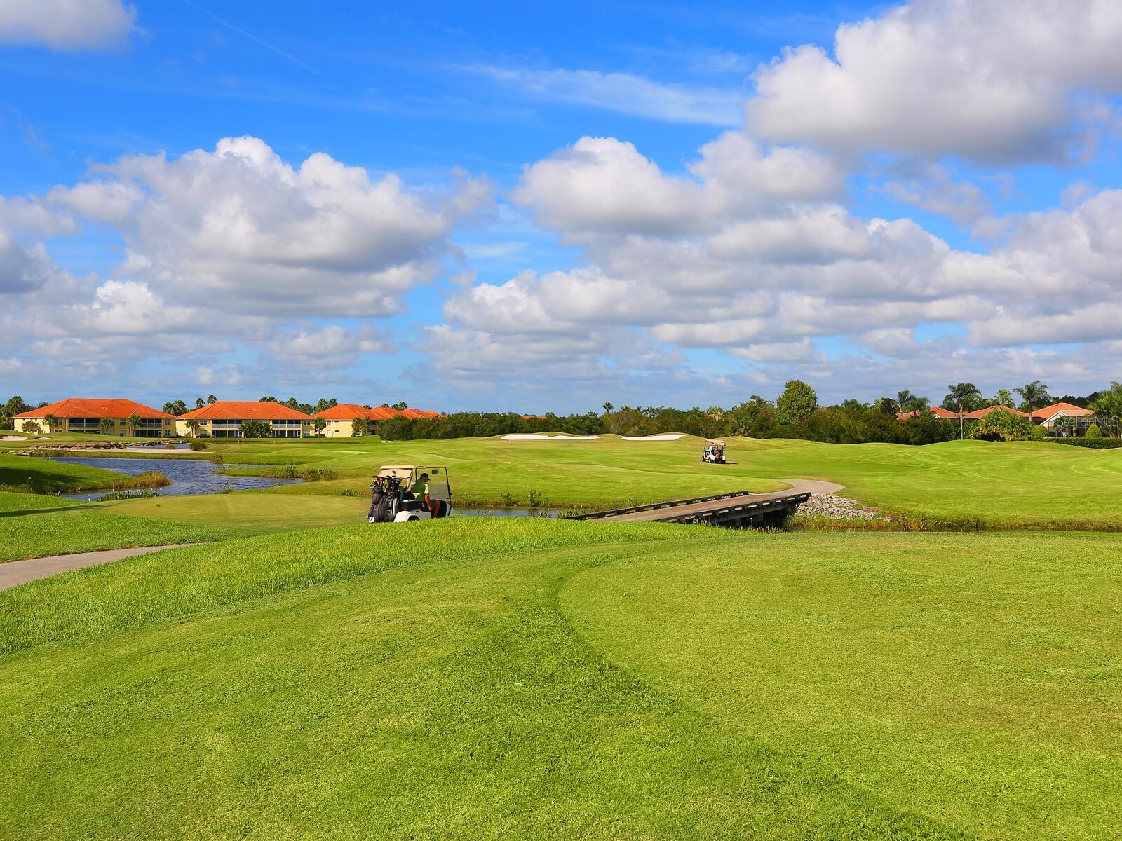 Image 49 of 50 For 8451 Miramar Way 101