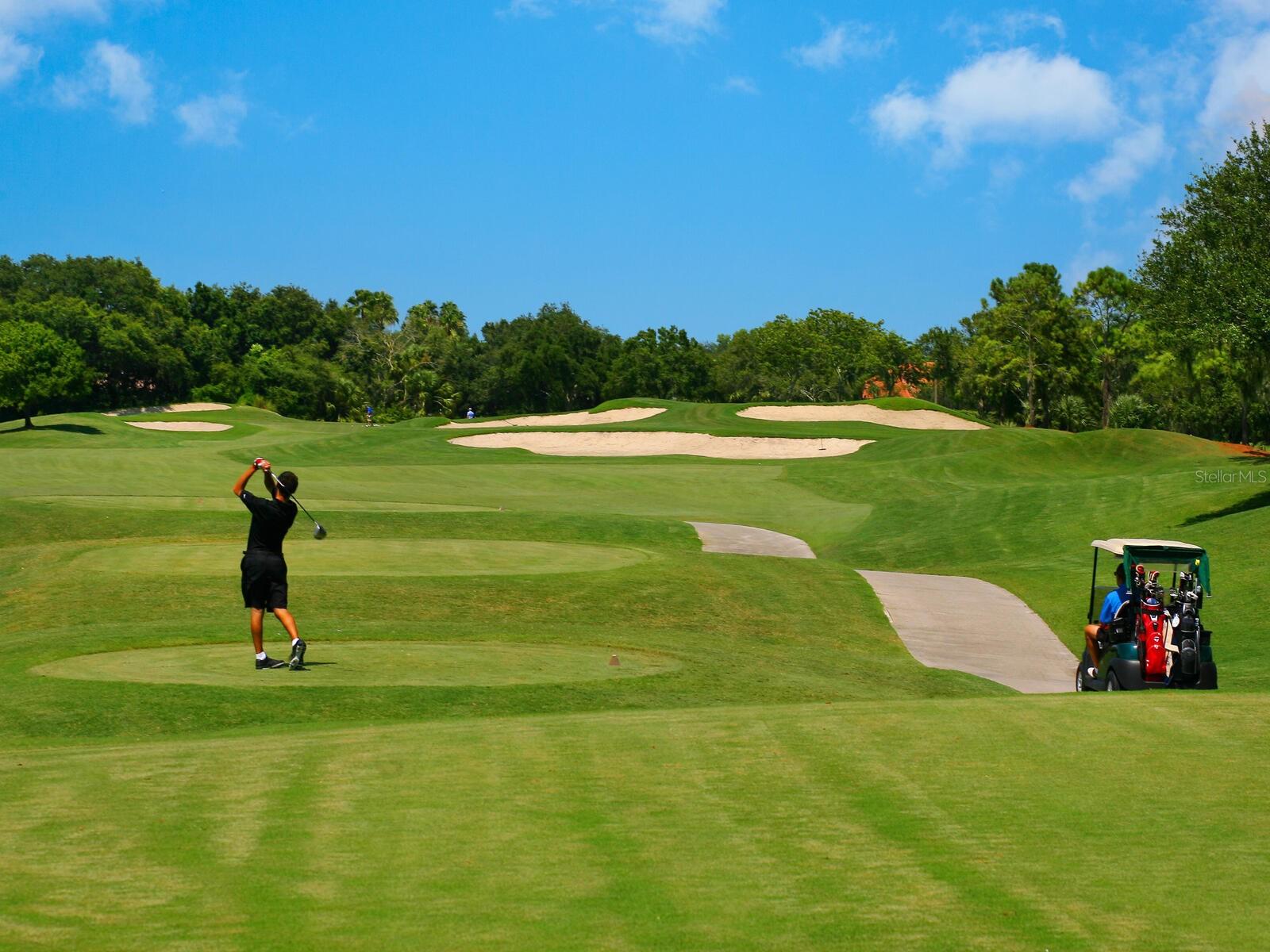 Image 50 of 50 For 8451 Miramar Way 101