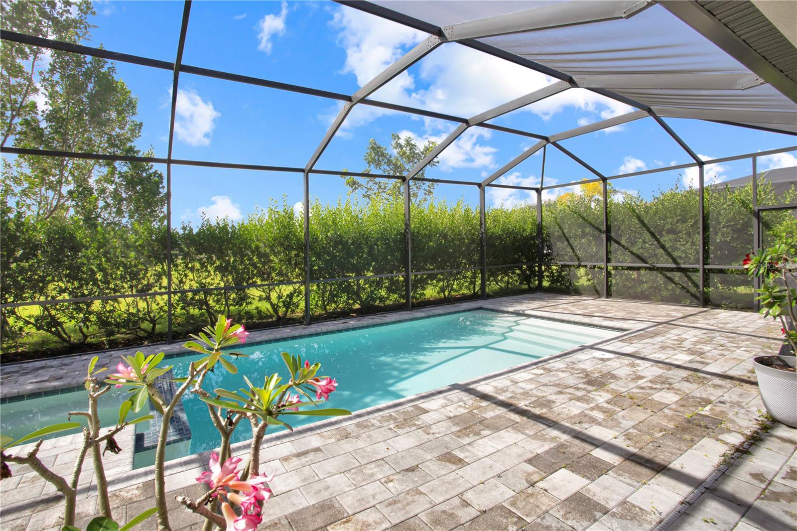 Image 26 of 38 For 11726 Canopy Loop