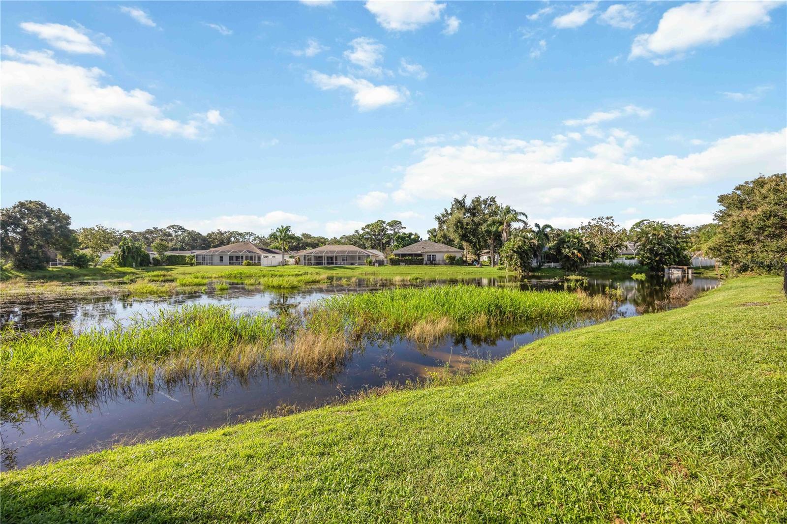 Image 4 of 70 For 2400 Appaloosa Circle