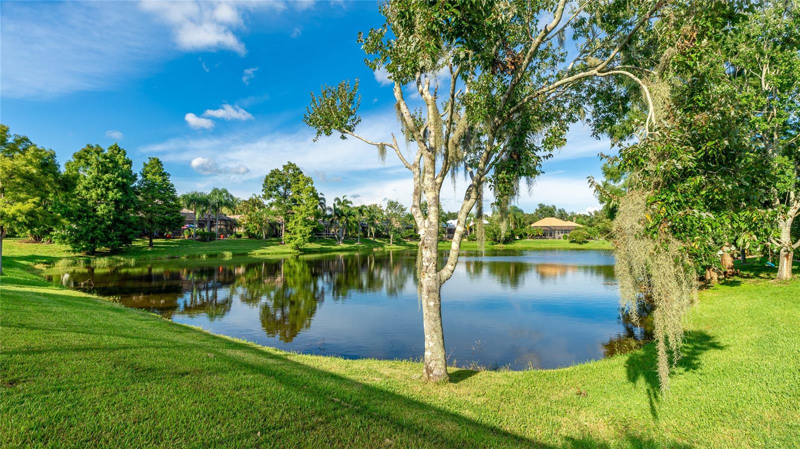 Image 43 of 58 For 11407 Savannah Lakes Drive