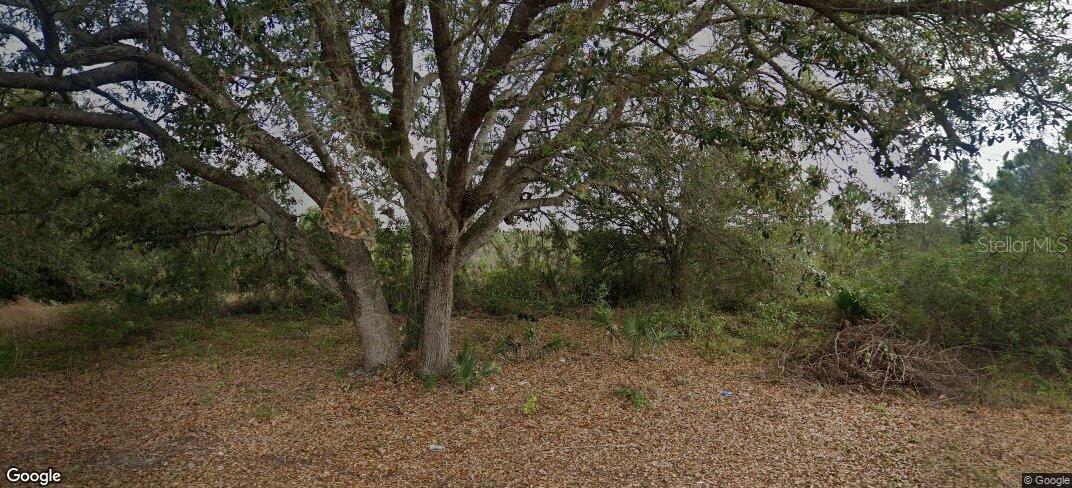 Listing Details for 2907 4th Street Sw, LEHIGH ACRES, FL 33976