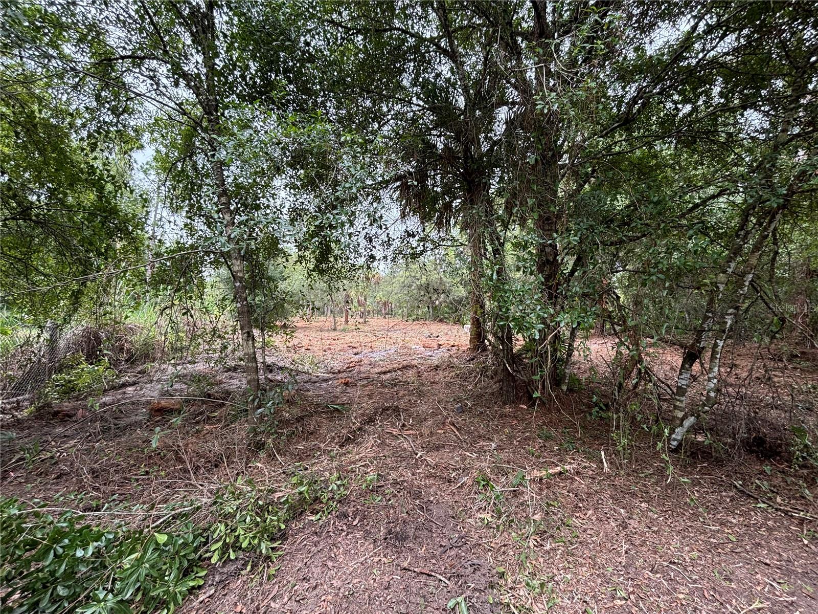 Image 2 of 4 For 701 Tampa Avenue
