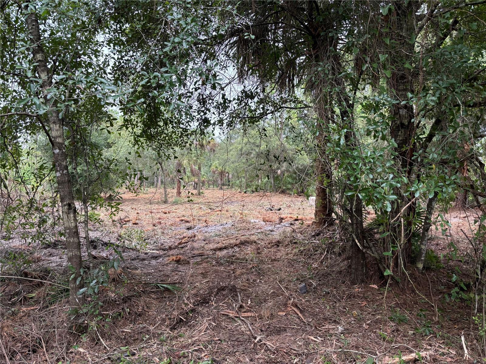 Image 3 of 4 For 701 Tampa Avenue