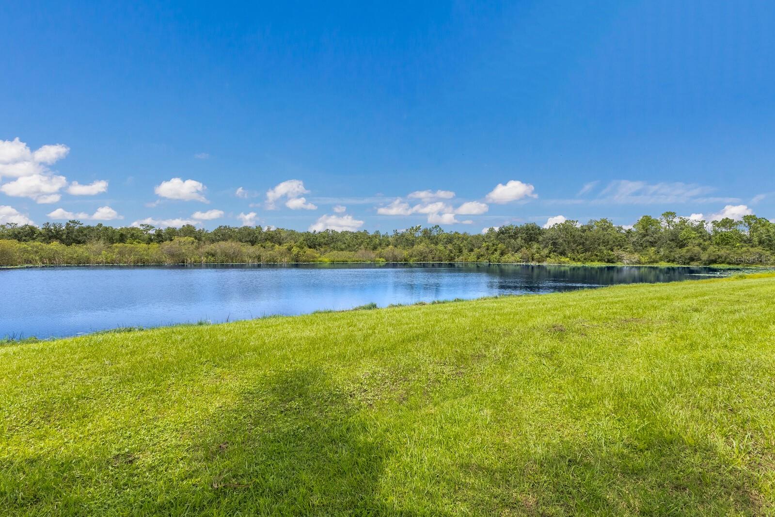 Image 45 of 56 For 25906 83rd Avenue E