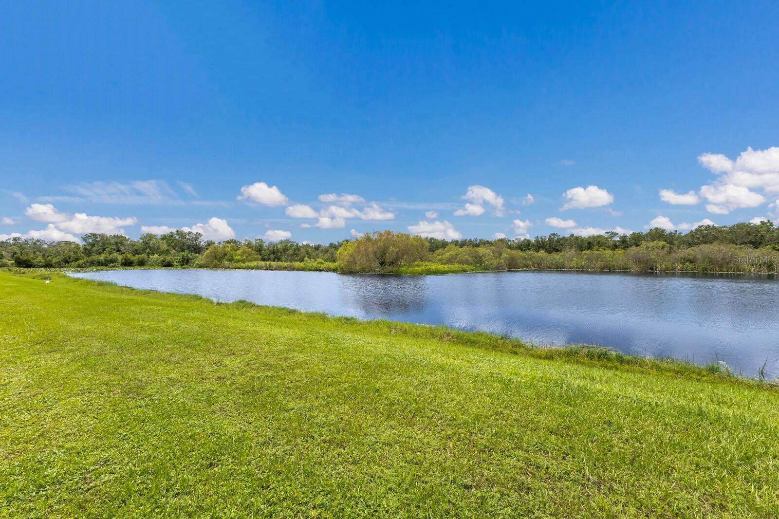 Image 46 of 56 For 25906 83rd Avenue E