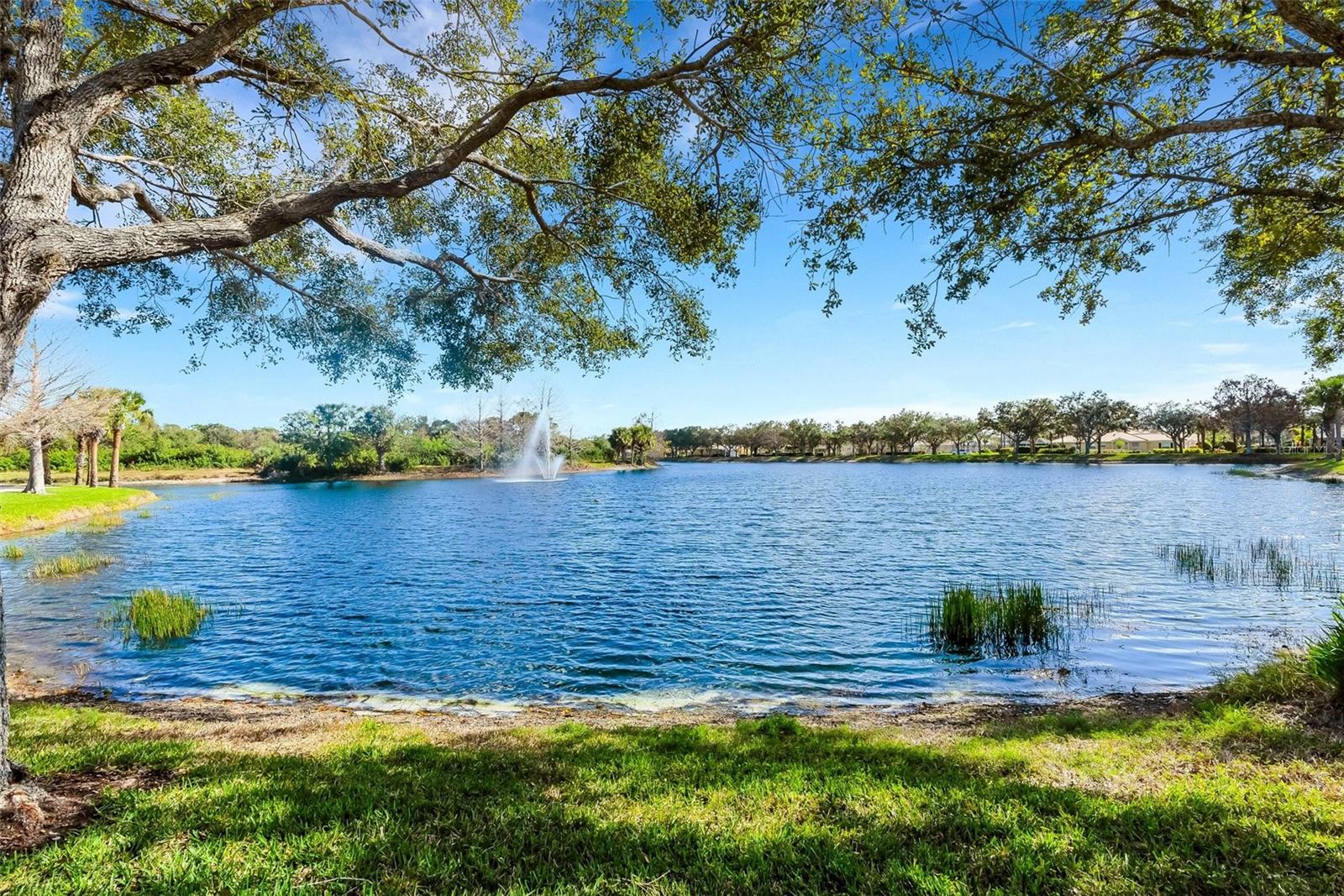 Image 44 of 54 For 7812 Bergamo Avenue