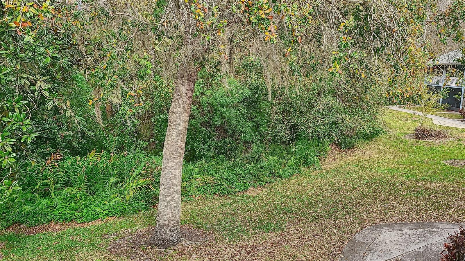 Image 18 of 19 For 1955 Abrico Drive G4