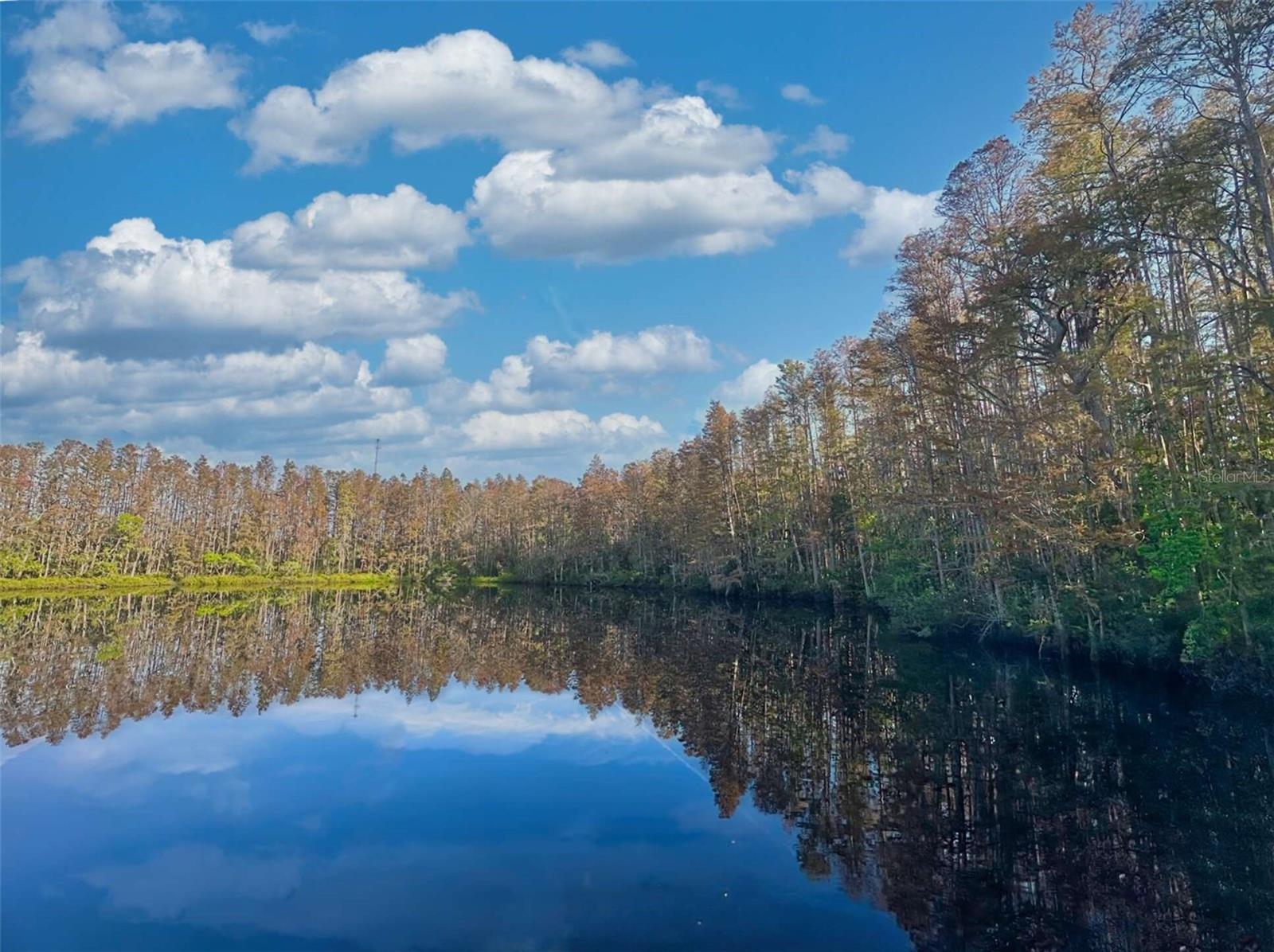 Image 22 of 36 For 1955 Abrico Drive G4