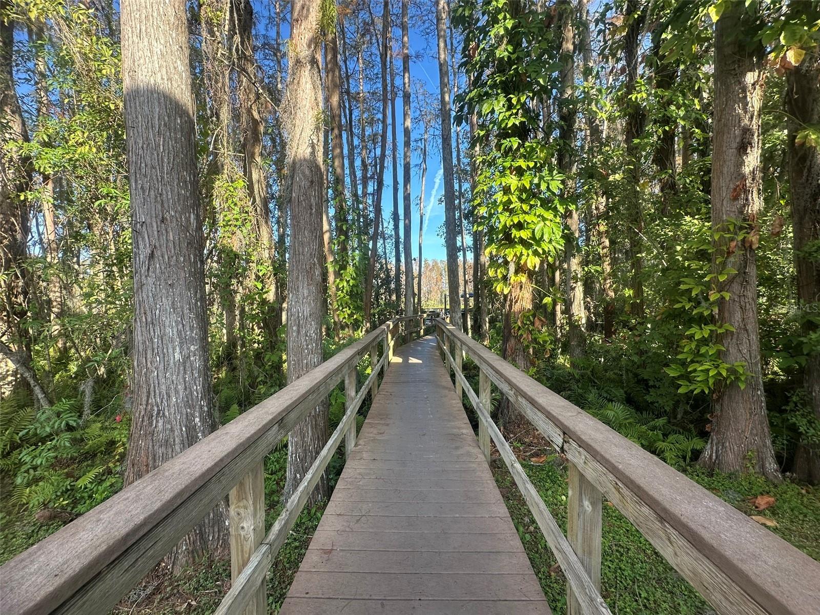 Image 31 of 36 For 1955 Abrico Drive G4