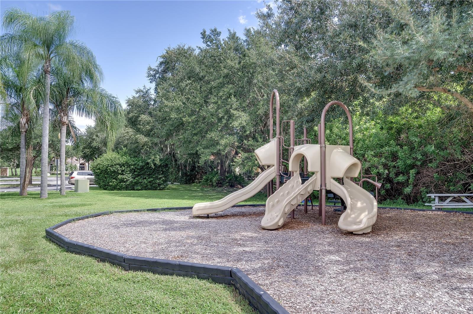 Image 80 of 85 For 12131 Bald Cypress Cove