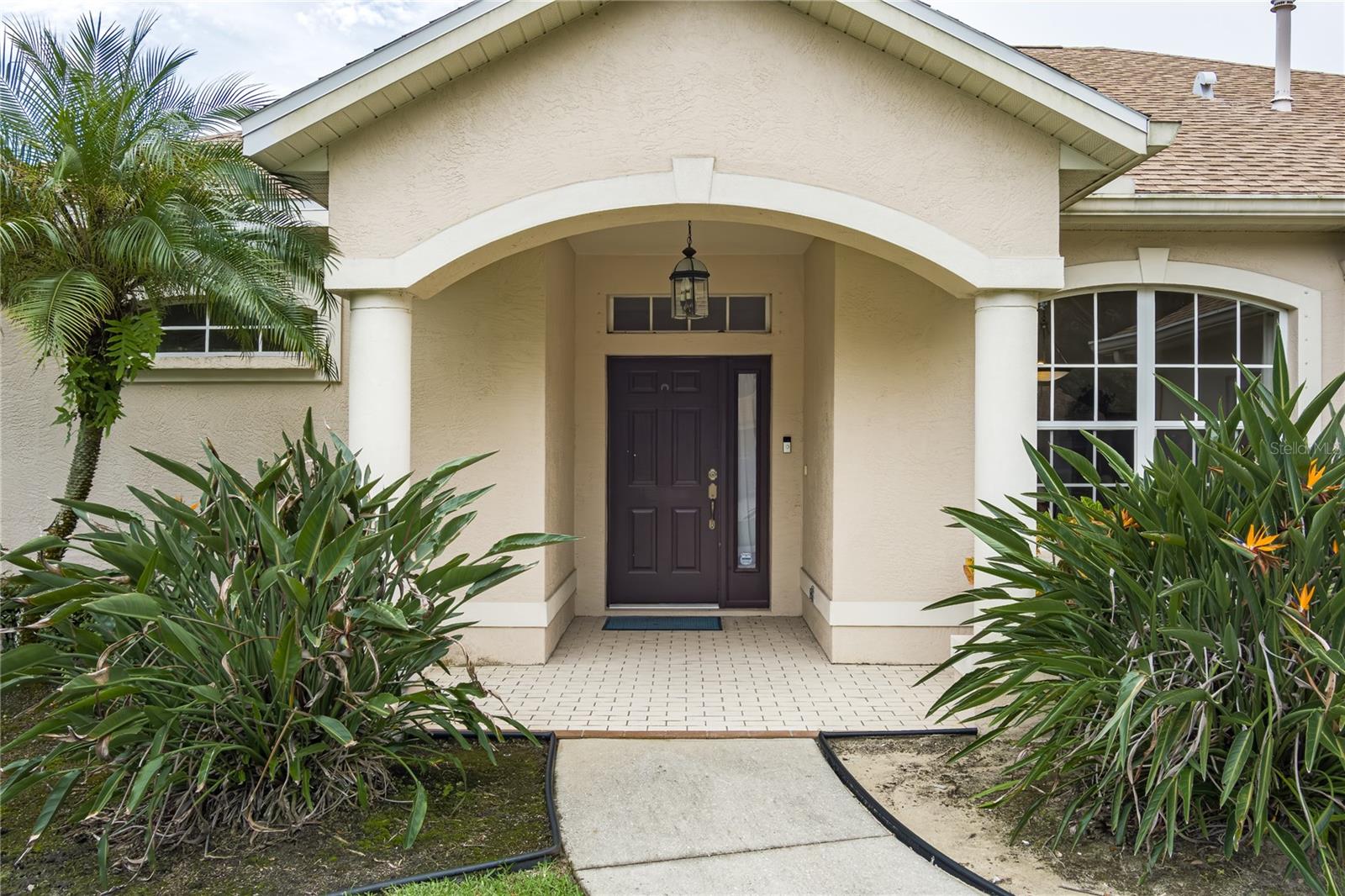 Image 34 of 35 For 11206 Pine Lilly Place
