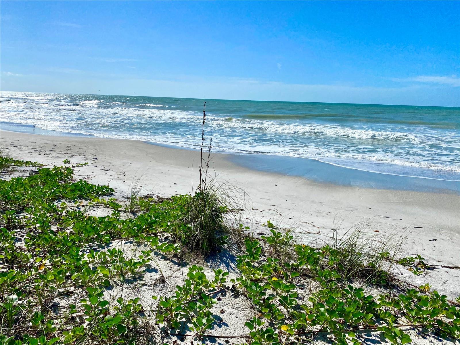 Image 8 of 8 For 6601 Gulfside Road