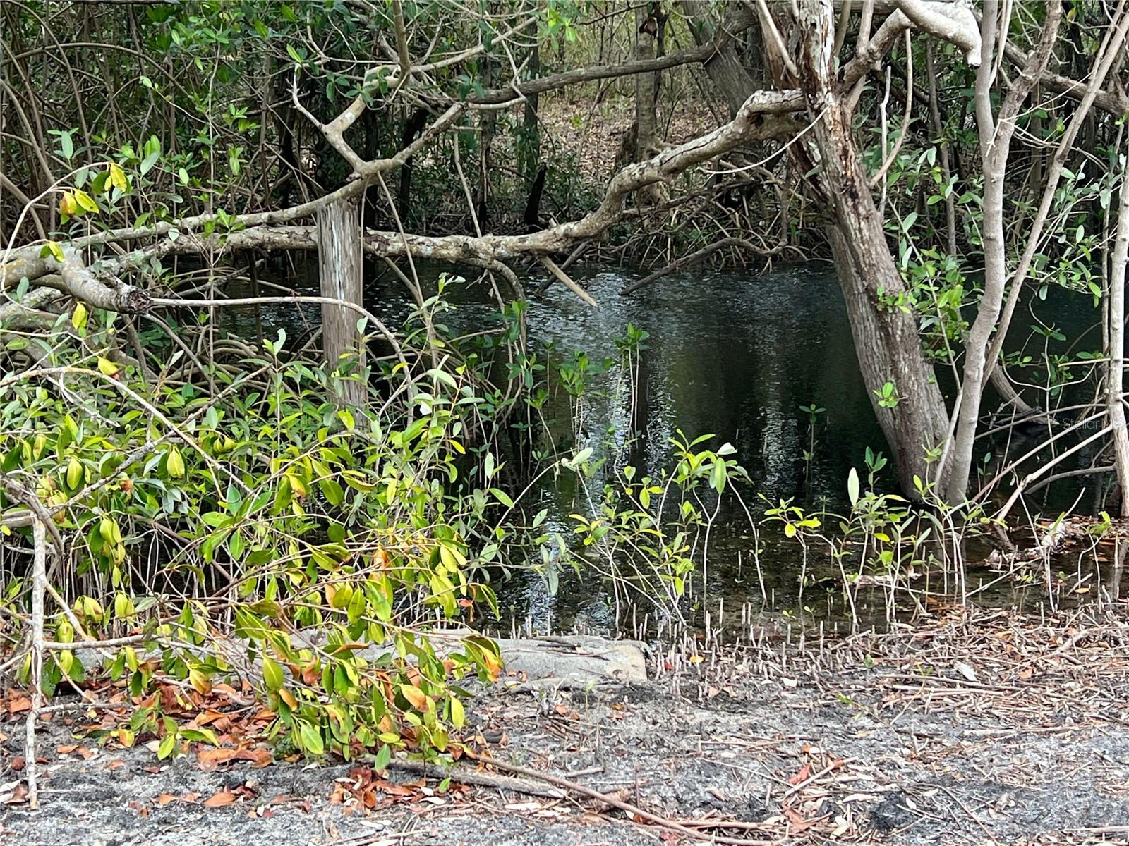 Image 17 of 29 For 912 Piney Point Road
