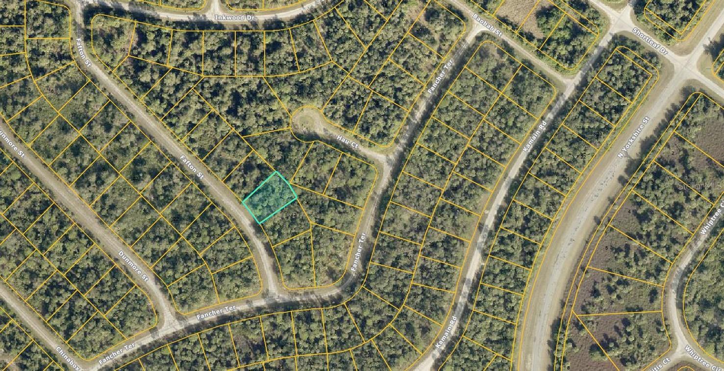 Listing photo id 0 for 1125230203 Fafton Street