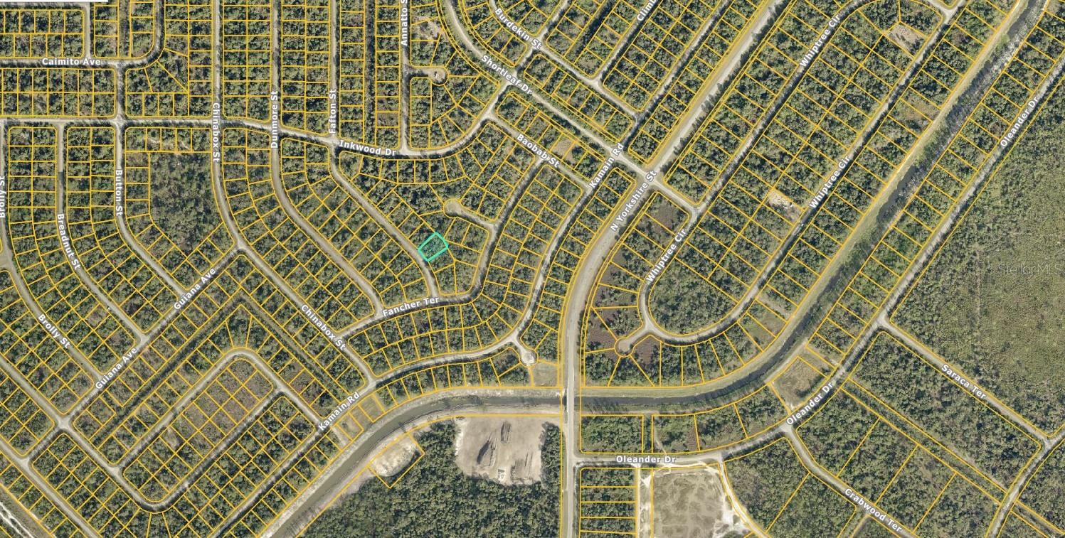 Listing photo id 1 for 1125230203 Fafton Street