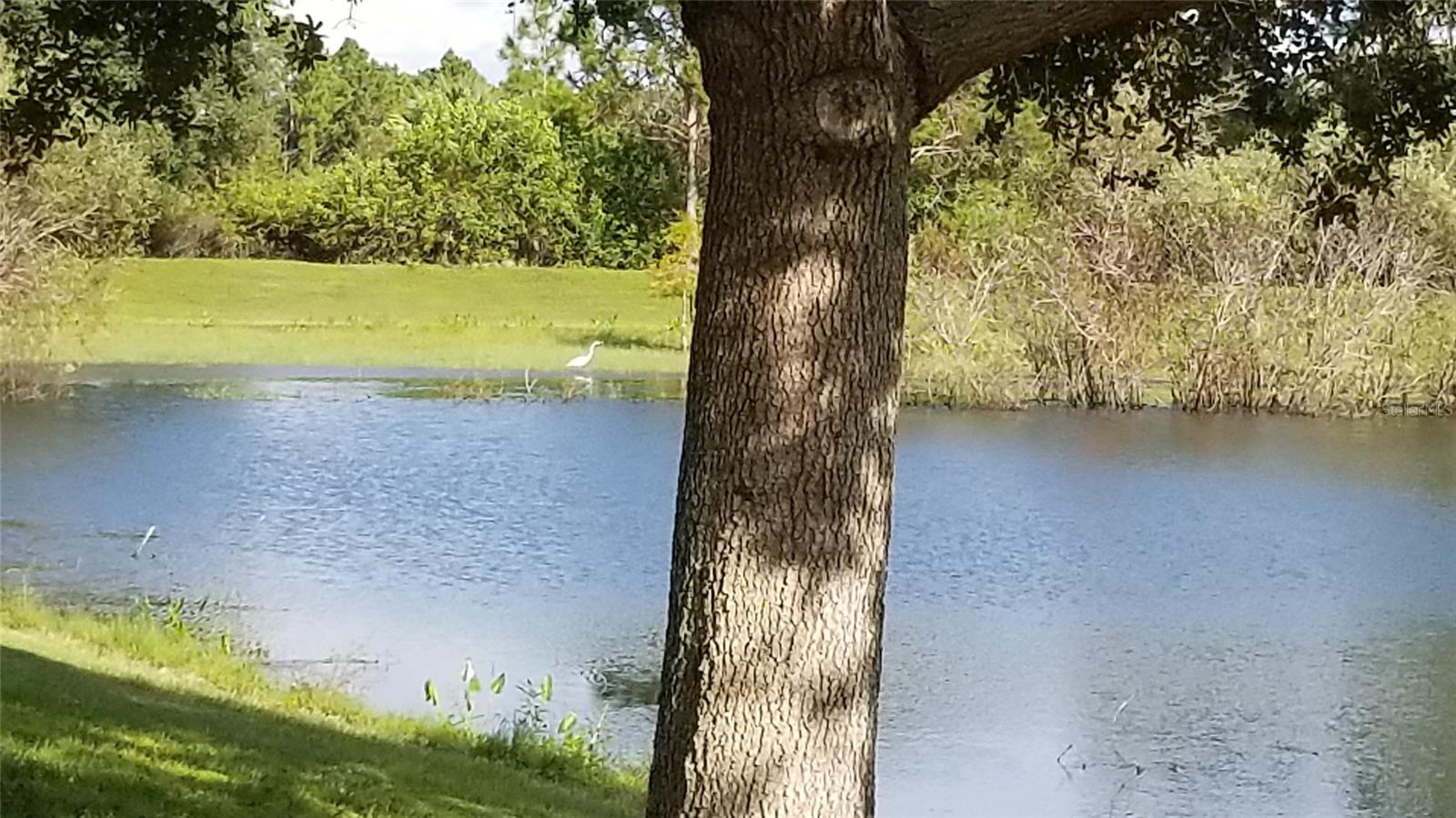 Listing photo id 30 for 1125230203 Fafton Street