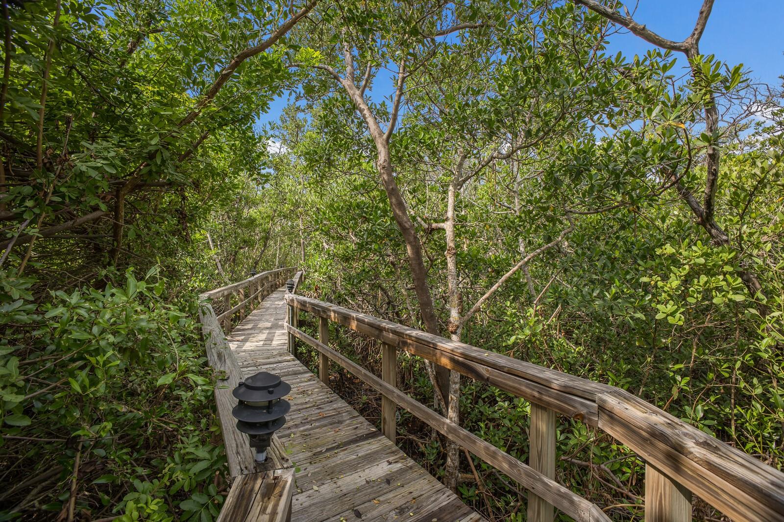 Image 32 of 38 For 847 Evergreen Way