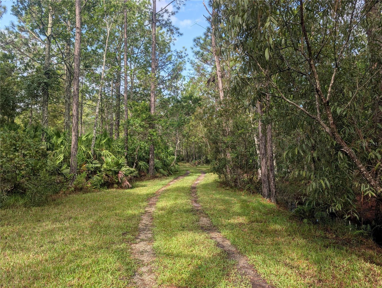 Image 11 of 25 For 4538 Shadow Walk Lane