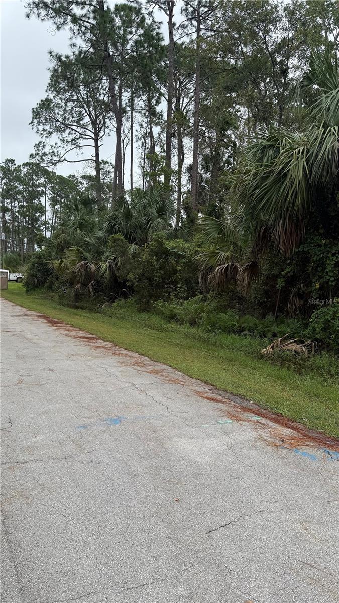 Image 3 of 4 For 10 Poindexter Lane