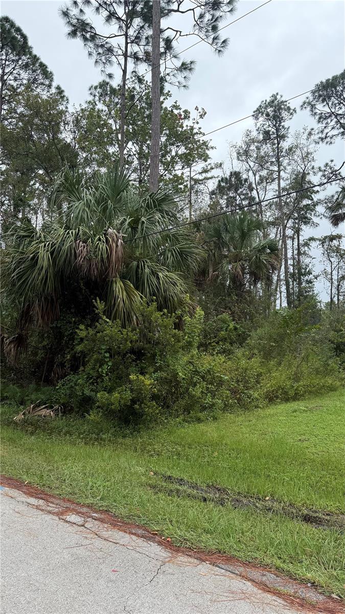 Image 4 of 4 For 10 Poindexter Lane