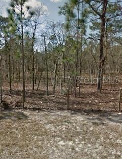 Listing Details for 142nd Street, WILLISTON, FL 32696