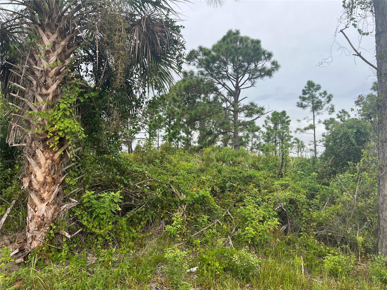 Details for 8185 Dimstead Street, PORT CHARLOTTE, FL 33981