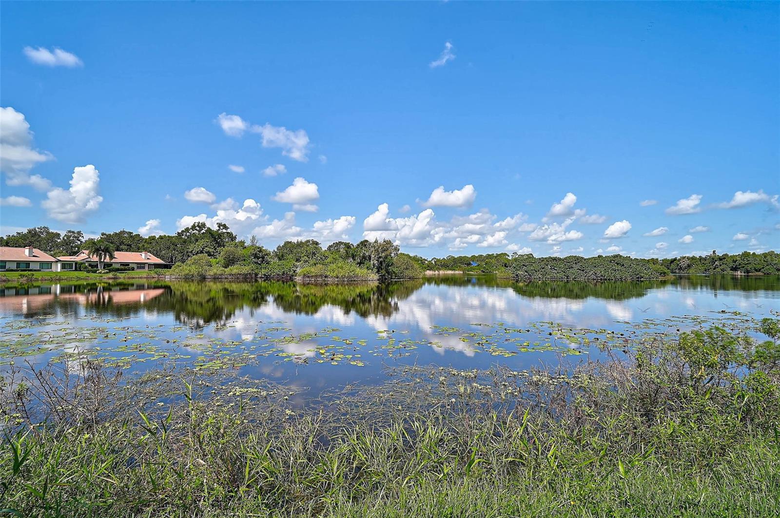 Image 34 of 50 For 7363 Oak Moss Drive 33