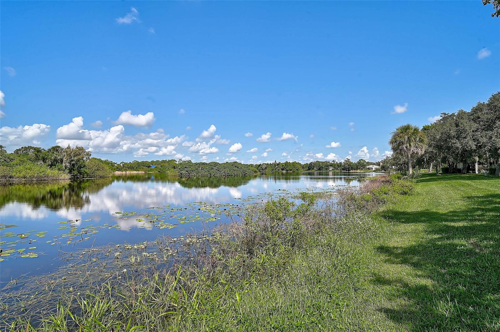 Image 36 of 50 For 7363 Oak Moss Drive 33