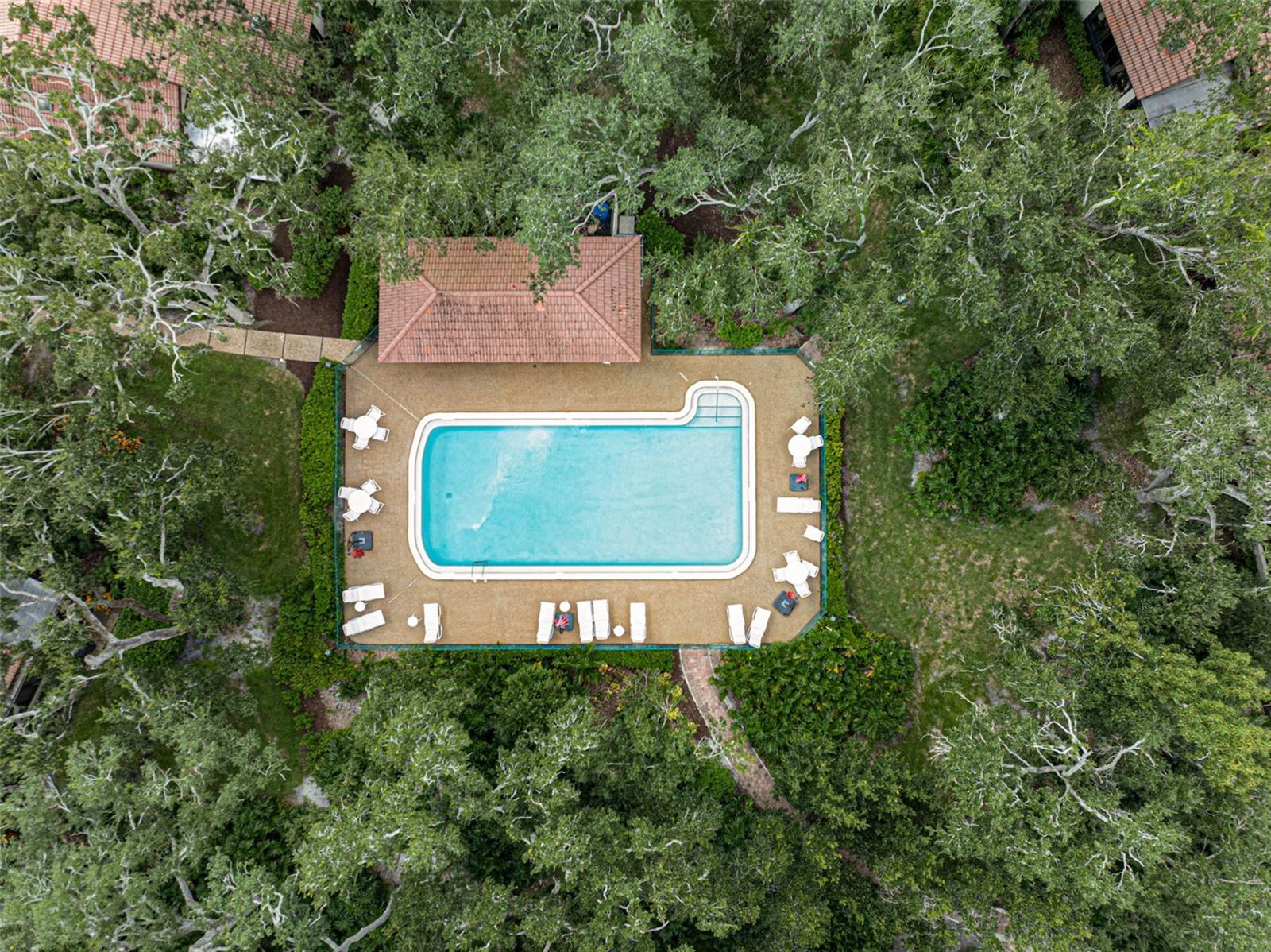 Image 42 of 50 For 7363 Oak Moss Drive 33