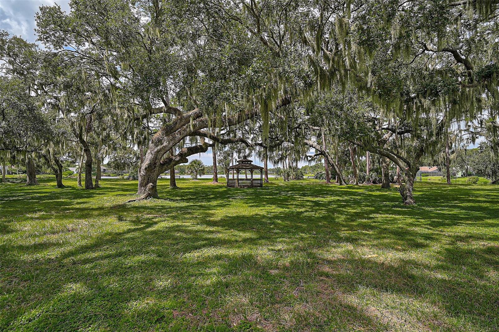 Image 46 of 50 For 7363 Oak Moss Drive 33