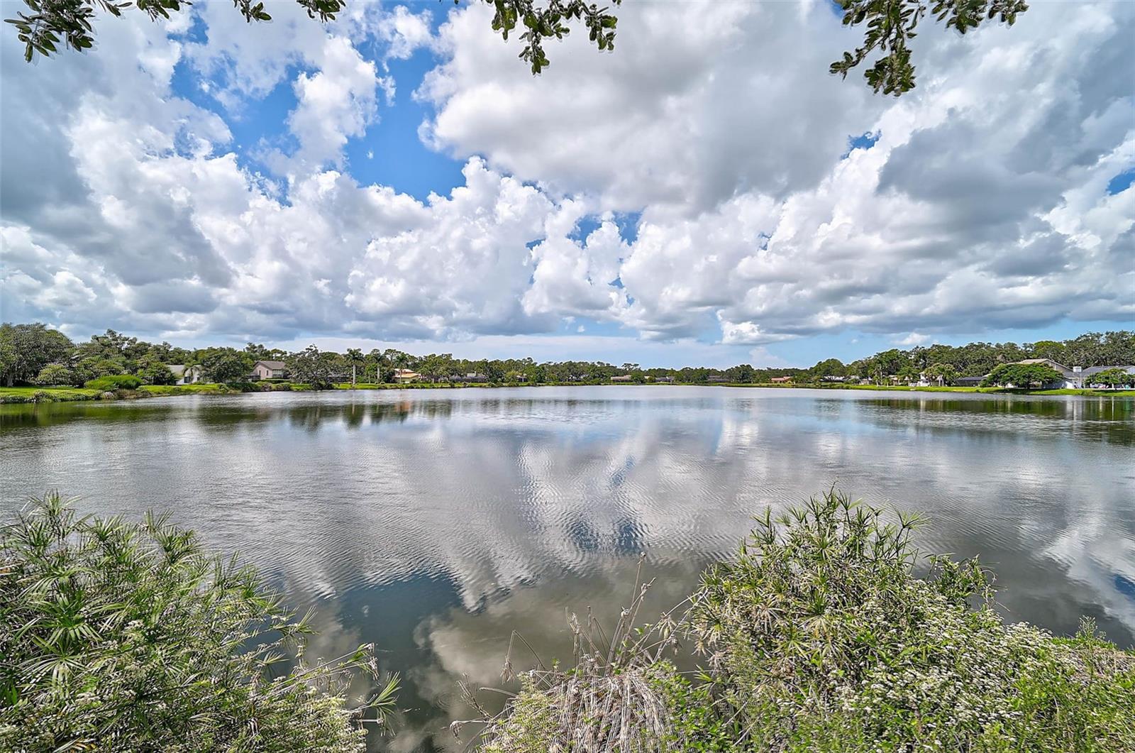 Image 49 of 50 For 7363 Oak Moss Drive 33