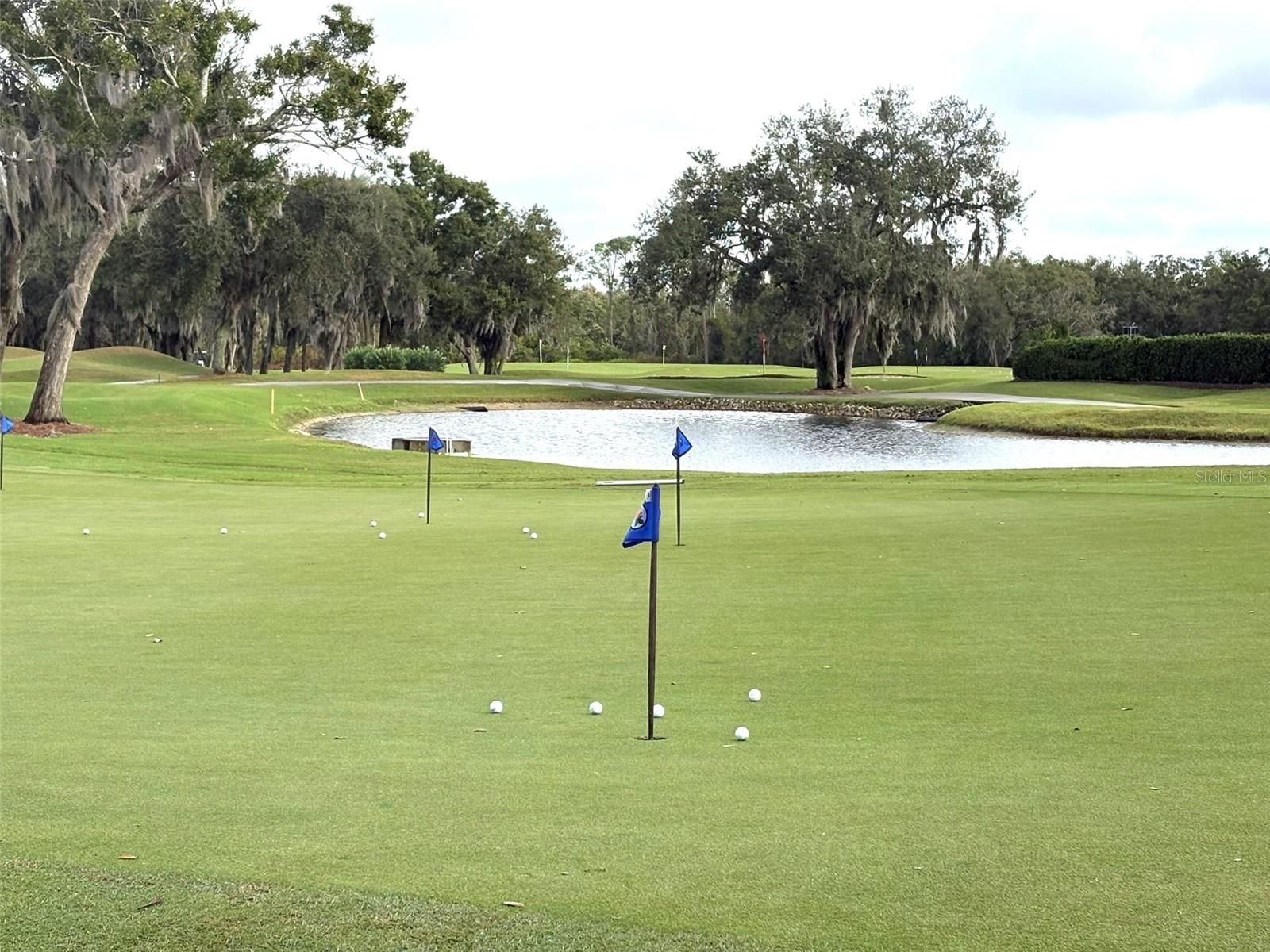 Image 56 of 60 For 10124 Marbella Drive