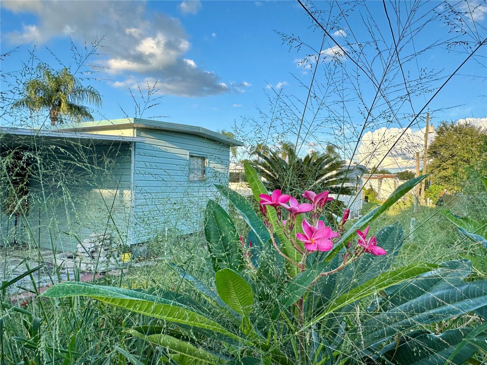 Image 21 of 34 For 130 Patricia Avenue 63