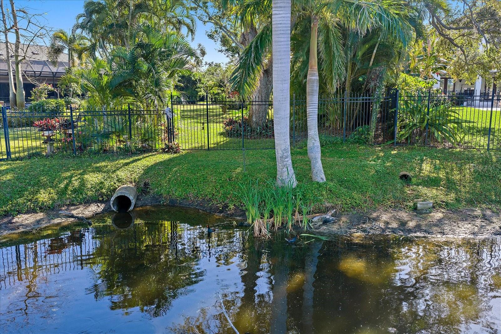 Image 20 of 27 For 1643 Lakeshore Drive