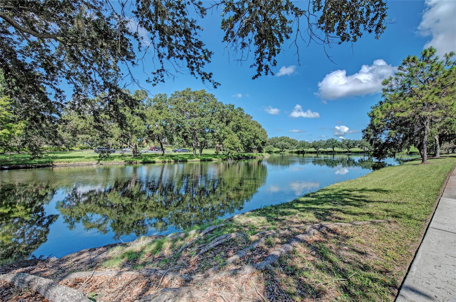 Image 47 of 49 For 6647 Oakbrooke Circle